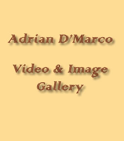 Adrian D'Marco Video & Image Gallery